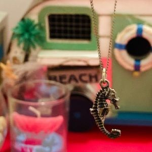 Sterling Silver Seahorse Necklace 🌊 🏖